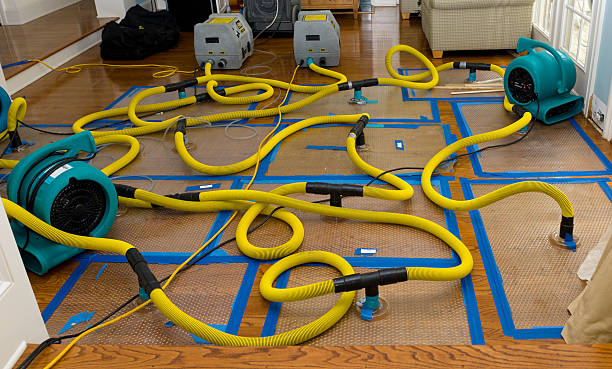Professional Basement Flood Cleanup technician working in Elk, WA